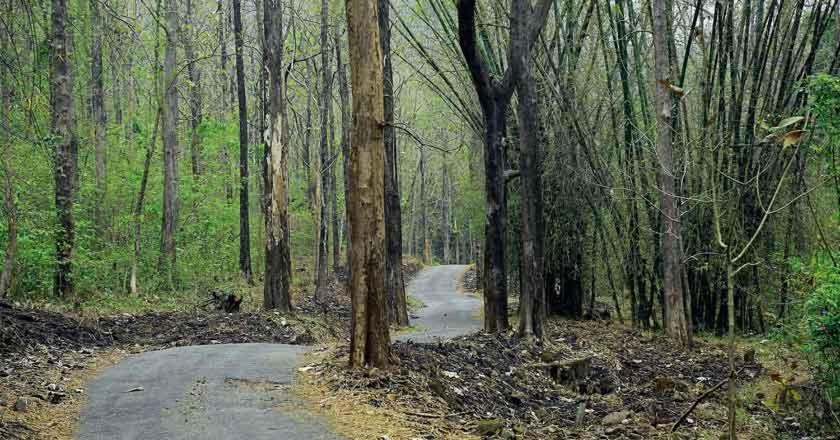 Thenmala Heritage Kollam Dış mekan fotoğraf
